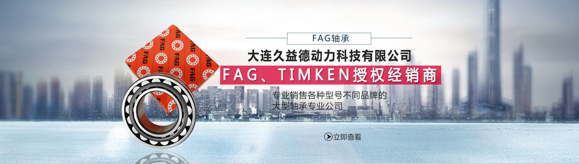 大連skf軸承,大連進(jìn)口軸承,skf軸承經(jīng)銷商
